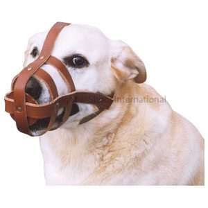 Dog Muzzle Leather Small
