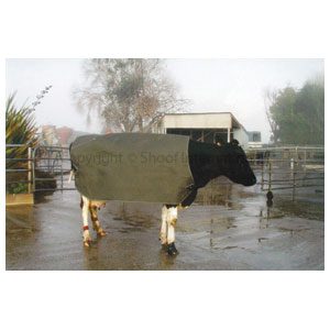 Cow Cover Thermal Emerge Large Friesian