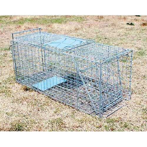 Cage Trap – Collapsible 66cm