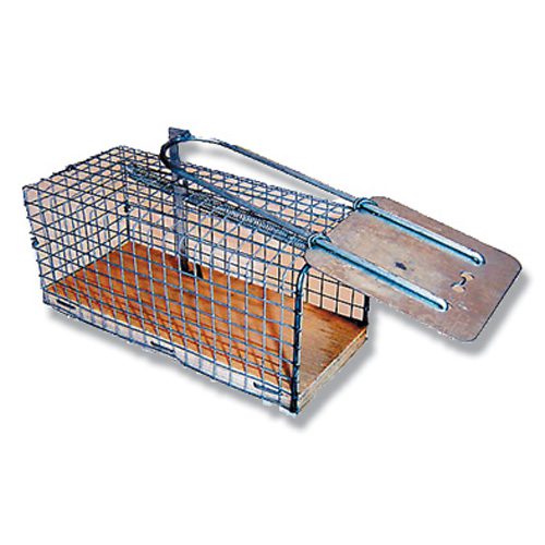 Mouse Trap Cage – 11.5cm