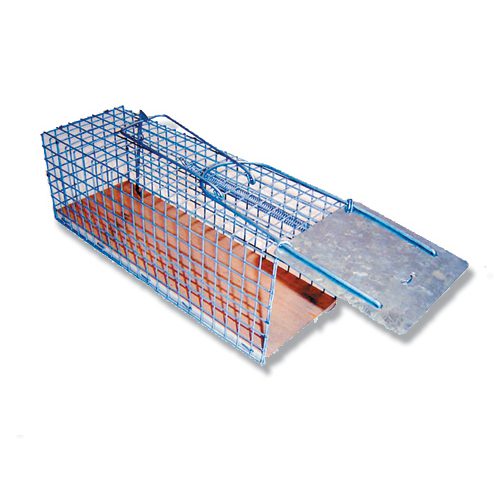 Rat Trap Cage – 27cm