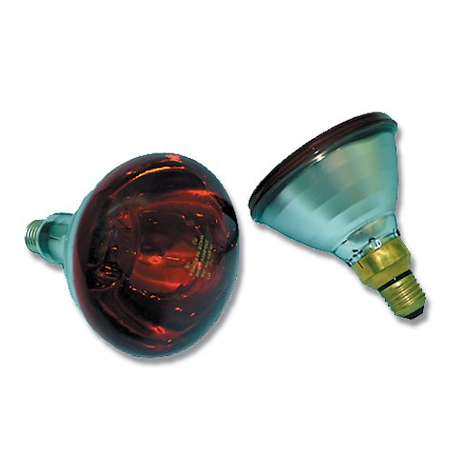 Infrared Light Bulb 250w (Phillips)