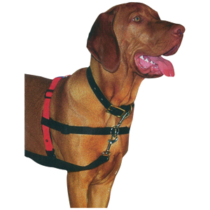 Dog Harness Front Clip Small