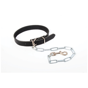 Dog Collar Leather w Chain small