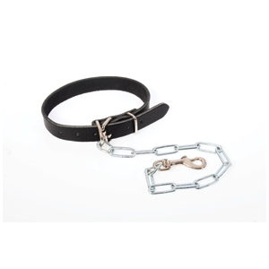 Dog Collar Leather w Chain large