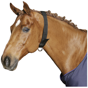 Collar Horse Webbing Black 1.1m x 50mm