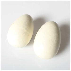 Brood Eggs Painted pair