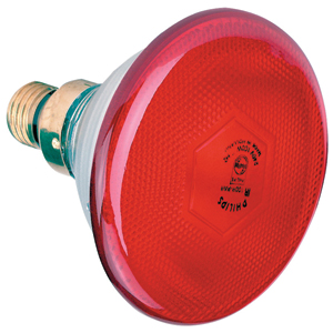 Lamp Infrared Phillips Red 175W
