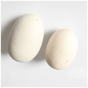 Brood Eggs China pair