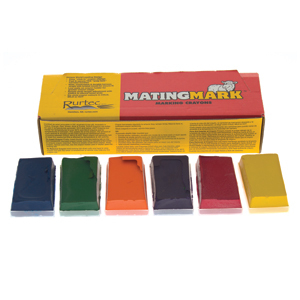Crayon MatingMark Hot Blue 10pk
