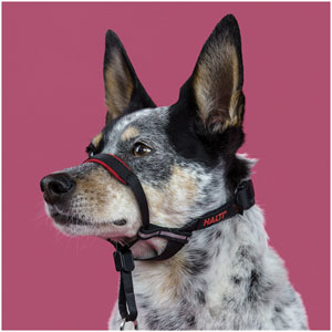 Dog Head Collar OptiFit Small
