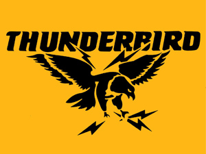 Thunderbird 200m Conductive Horse Sighter Wire