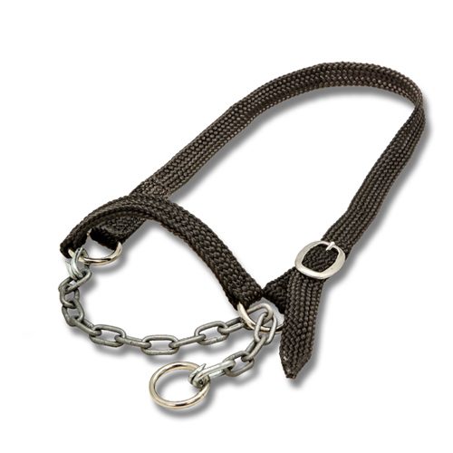 Halter Dexter Large (5 colours – call cust serv to confirm availability)