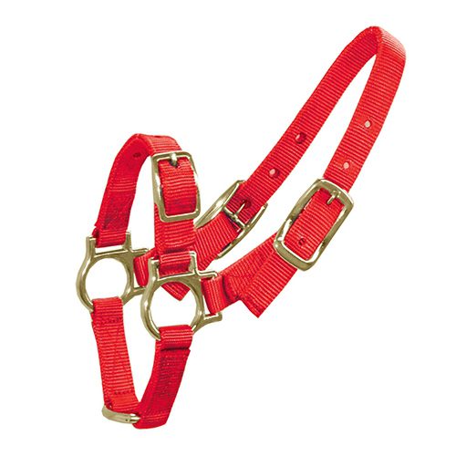 Halter for Sheep & Goats – Red