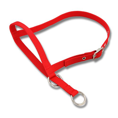 Halter Leading Cow – Red