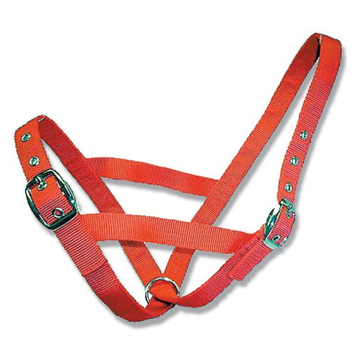 Cattle Halter Webbing Cow – Red