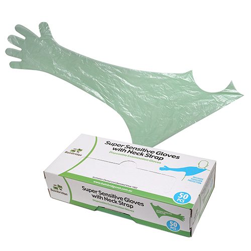 Shoulder Length Gloves with Neck Strap (50 Pack)