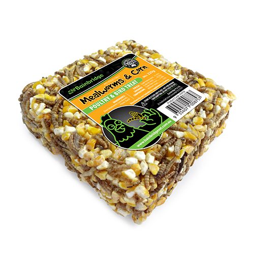 Treat Block – Mealworms & Corn